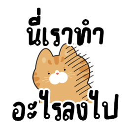 ส้มส้มเพื่อนรัก รูปที่ 9
