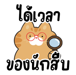 ส้มส้มเพื่อนรัก รูปที่ 13