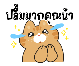 ส้มส้มเพื่อนรัก รูปที่ 16