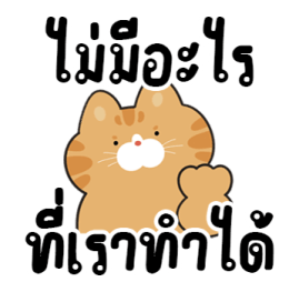 ลายที่ 45