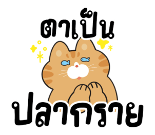 ส้มส้มเพื่อนรัก รูปที่ 24