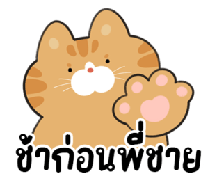 ส้มส้มเพื่อนรัก รูปที่ 25