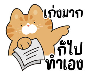 ลายที่ 51