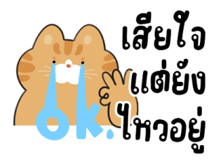 ลายที่ 63