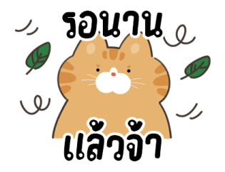 ส้มส้มเพื่อนรัก รูปที่ 35
