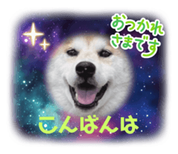 793161781