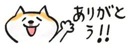 793167646