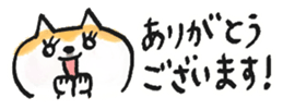 793167647