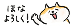 793167651