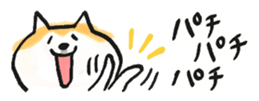793167658