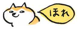 793167662