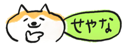 793167663