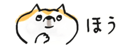 793167664