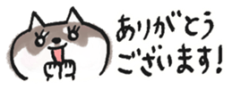 793168775