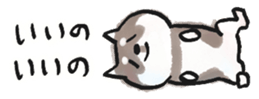 793168780