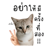 793217853