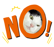 793232044