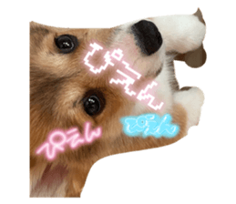 793233502
