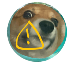 793233508