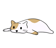 793234425