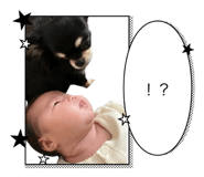 793239281
