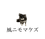 793239282