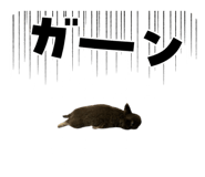 793239295