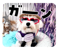 793242047