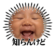 793253341