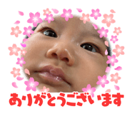 793253354