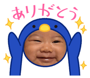 793253357