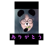793255574