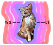 793275612