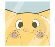 793280539