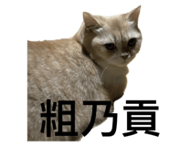 793291338