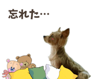793292583