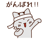 793293525