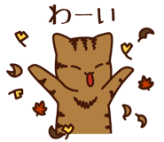 793293531