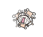 793300168