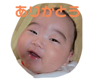 793302228