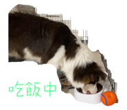 793303396