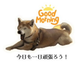 793307033