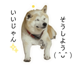793307045