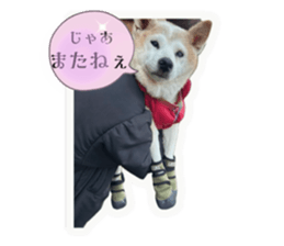 793307052