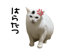 793307261