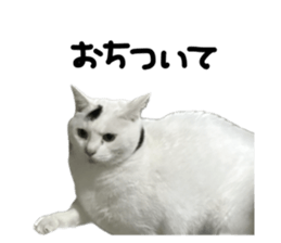 793307263