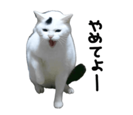 793307264