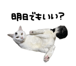 793307267