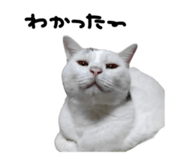 793307272