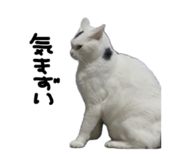 793307277